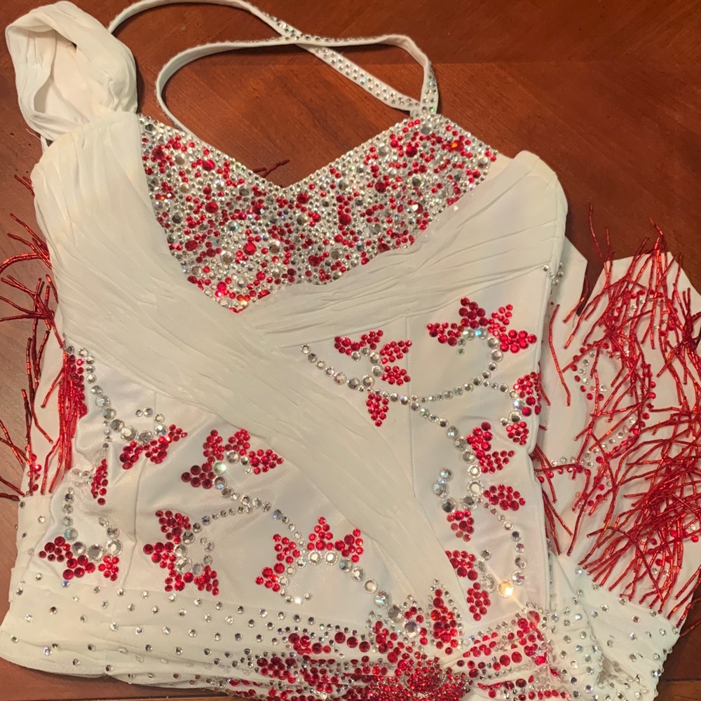 Customs made rhinestone and fringe dress